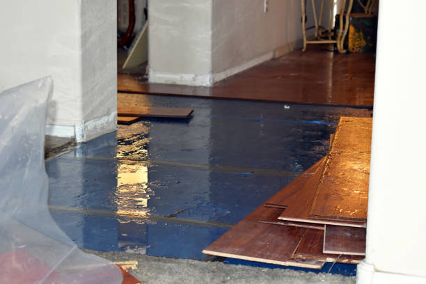 Professional Burst Pipe Cleanup technician working in Bessemer, MI